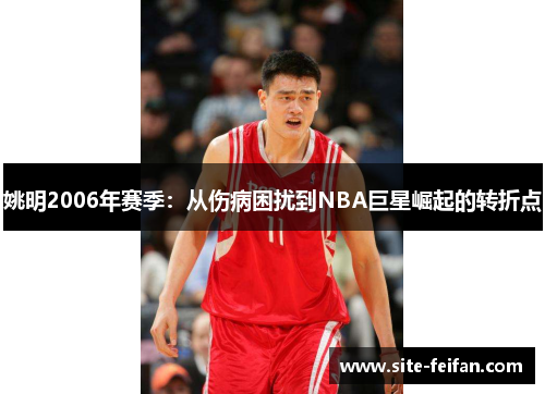 姚明2006年赛季：从伤病困扰到NBA巨星崛起的转折点