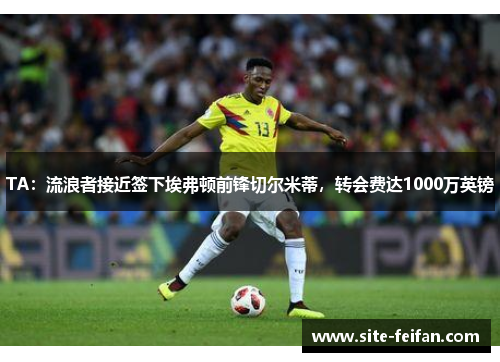 TA：流浪者接近签下埃弗顿前锋切尔米蒂，转会费达1000万英镑